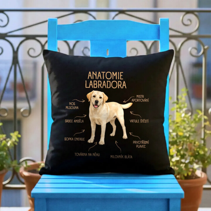 Anatomie labradora - černý polštář s potiskem