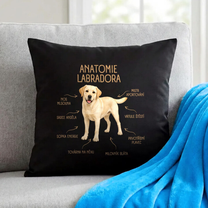 Anatomie labradora - černý polštář s potiskem