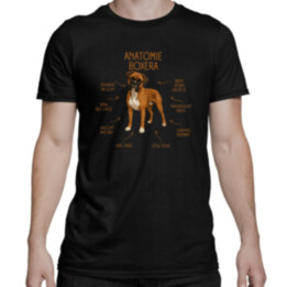 Anatomie boxera - pánské tričko s potiskem