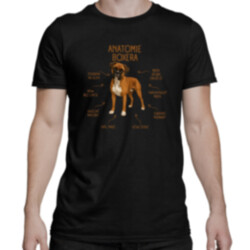 Anatomie boxera - pánské tričko s potiskem
