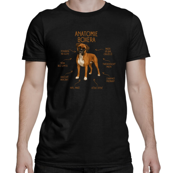 Anatomie boxera - pánské tričko s potiskem