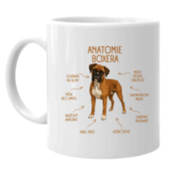 Anatomie boxera - hrnek s potiskem