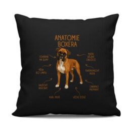 Anatomie boxera - černý polštář s potiskem