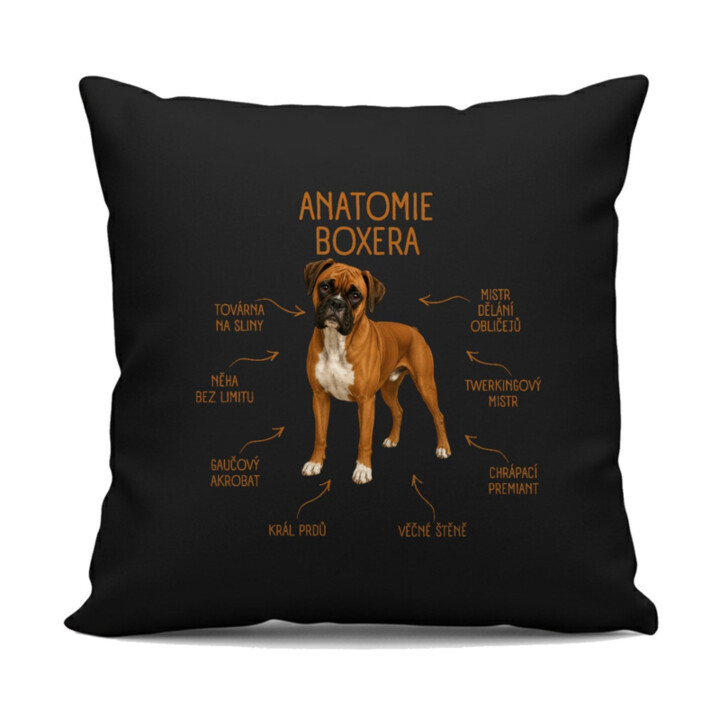 Anatomie boxera - černý polštář s potiskem