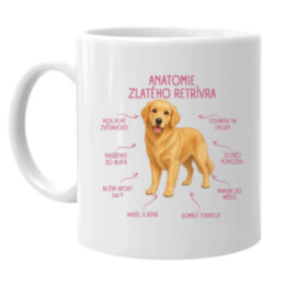 Anatomie zlatého retrívra - hrnek s potiskem