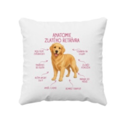 Anatomie zlatého retrívra - polštář s potiskem