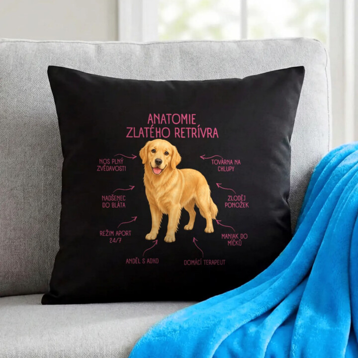 Anatomie zlatého retrívra - černý polštář s potiskem