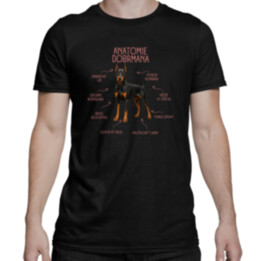 Anatomie dobrmana - pánské tričko s potiskem