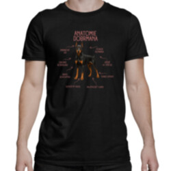 Anatomie dobrmana - pánské tričko s potiskem