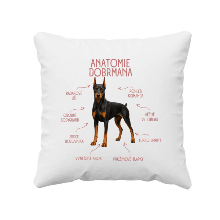 Anatomie dobrmana - polštář s potiskem