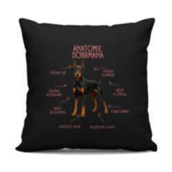 Anatomie dobrmana v2 - černý polštář s potiskem