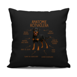 Anatomie rotvajlera - černý polštář s potiskem