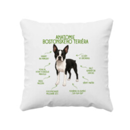 Anatomie bostonského teriéra - polštář s potiskem