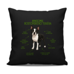 Anatomie bostonského teriéra - černý polštář s potiskem