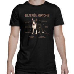 Anatomie bulteriéra - pánské tričko s potiskem