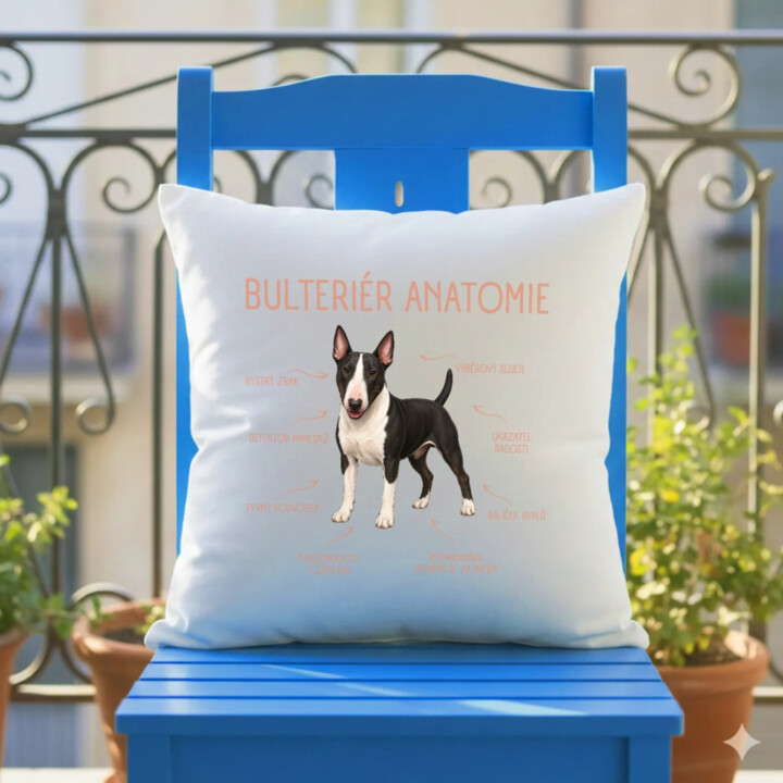 Anatomie bulteriéra - polštář s potiskem