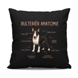 Anatomie bulteriéra - černý polštář s potiskem