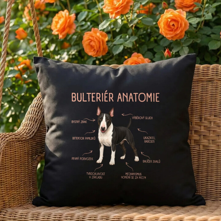 Anatomie bulteriéra - černý polštář s potiskem