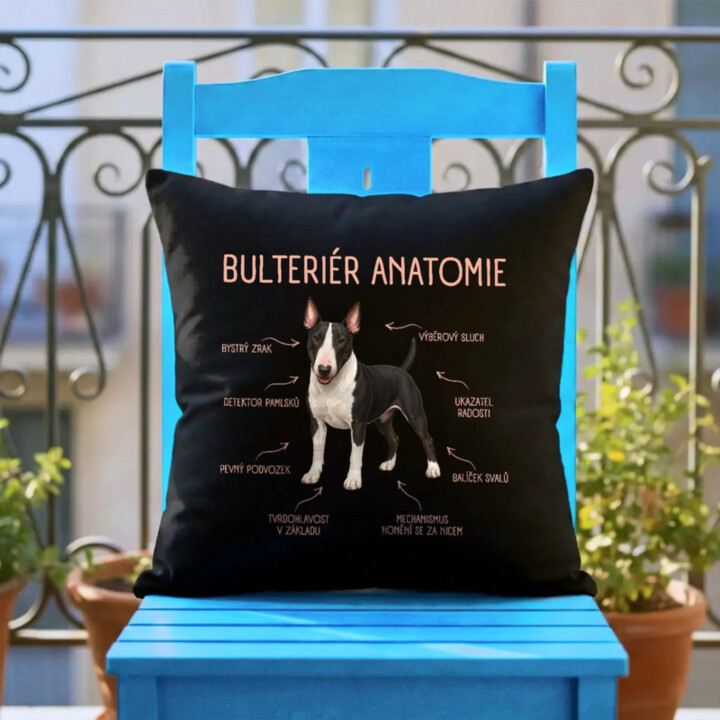 Anatomie bulteriéra - černý polštář s potiskem