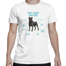 Anatomie cane corso - pánské tričko s potiskem