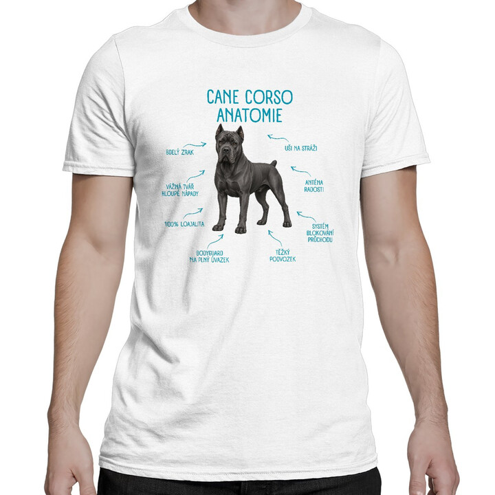 Anatomie cane corso - pánské tričko s potiskem