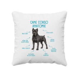 Anatomie cane corso - polštář s potiskem
