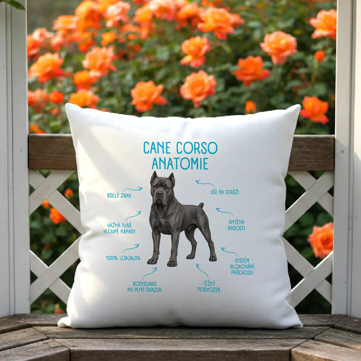 Anatomie cane corso - polštář s potiskem