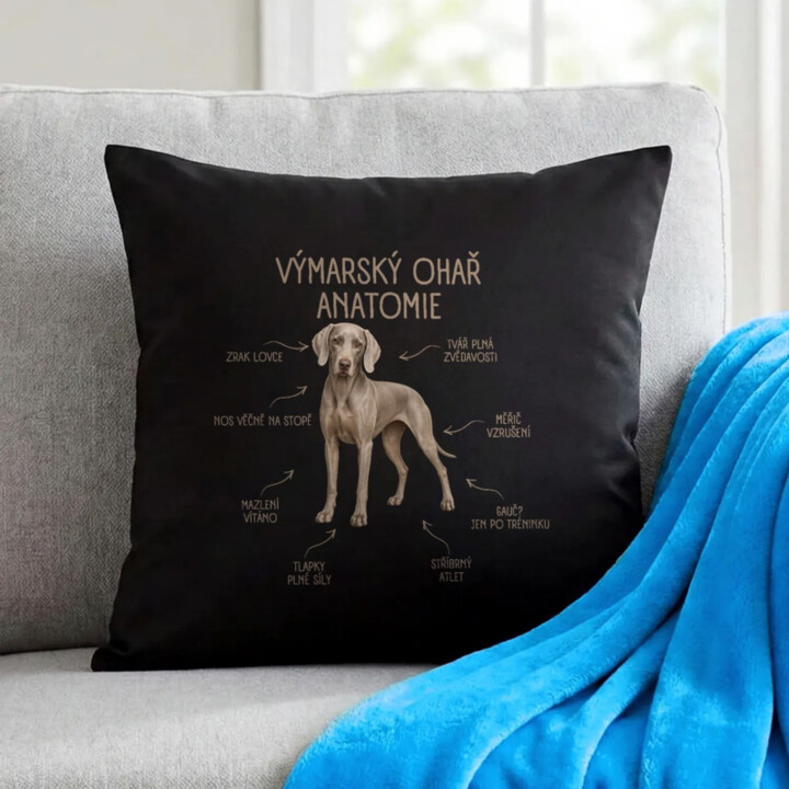 Anatomie výmarského ohaře - černý polštář s potiskem