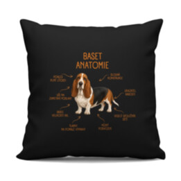 Anatomie baseta - černý polštář s potiskem