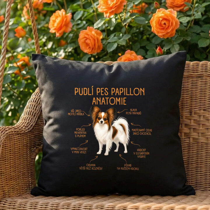 Anatomie papillona - černý polštář s potiskem