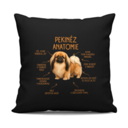 Anatomie pekinéze - černý polštář s potiskem