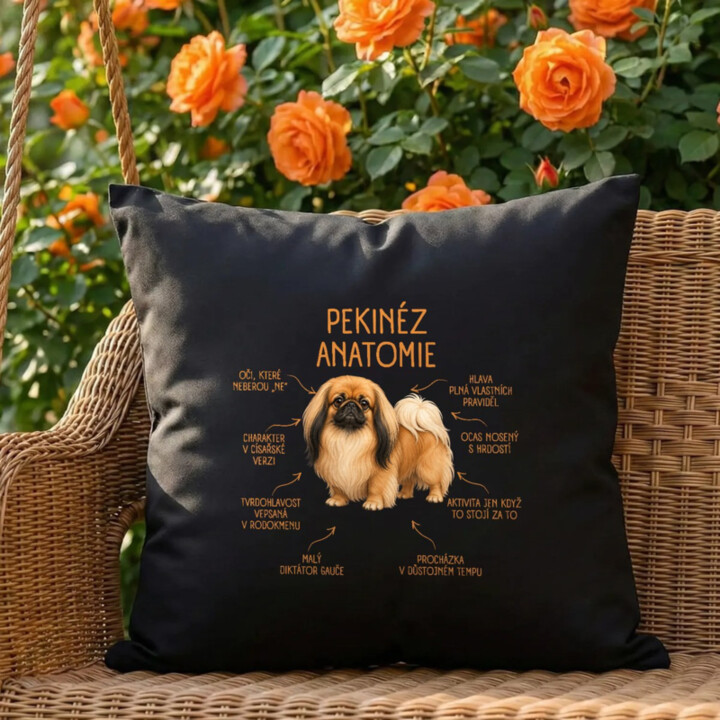 Anatomie pekinéze - černý polštář s potiskem