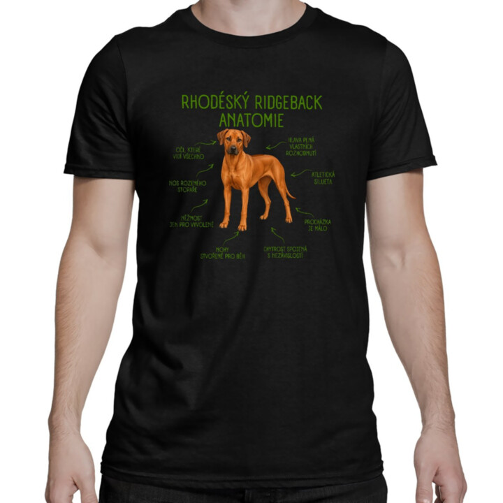 Anatomie rhodéského ridgebacka - pánské tričko s potiskem