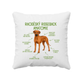 Anatomie rhodéského ridgebacka - polštář s potiskem