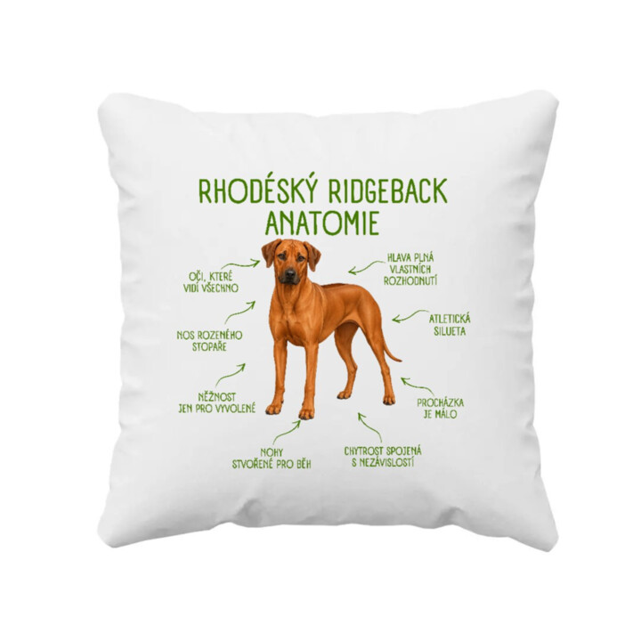 Anatomie rhodéského ridgebacka - polštář s potiskem