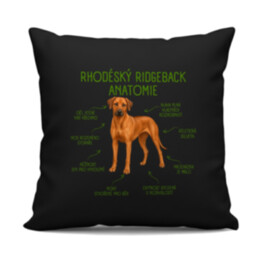 Anatomie rhodéského ridgebacka - černý polštář s potiskem