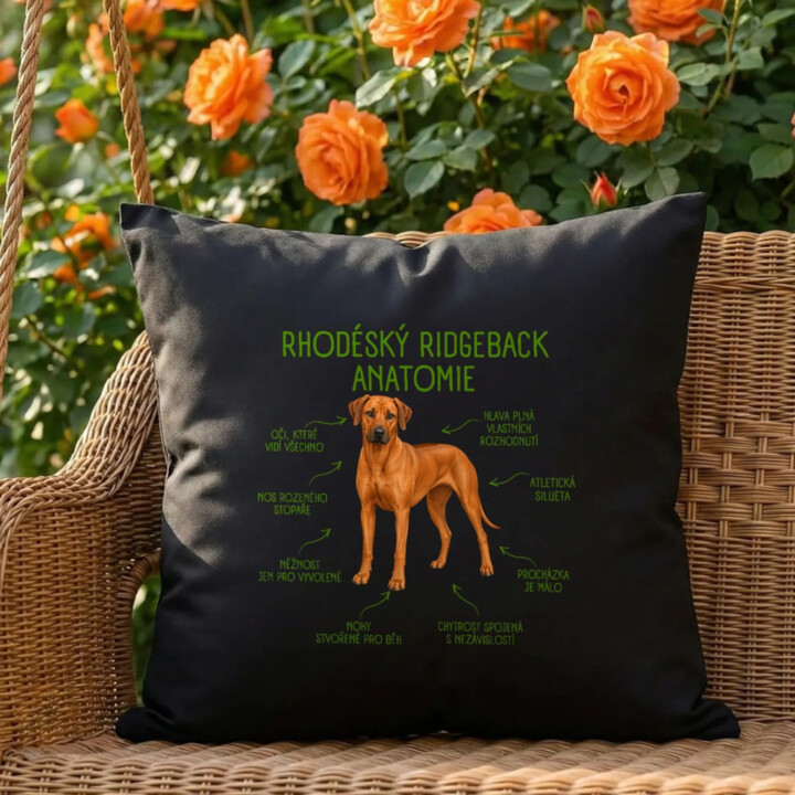 Anatomie rhodéského ridgebacka - černý polštář s potiskem