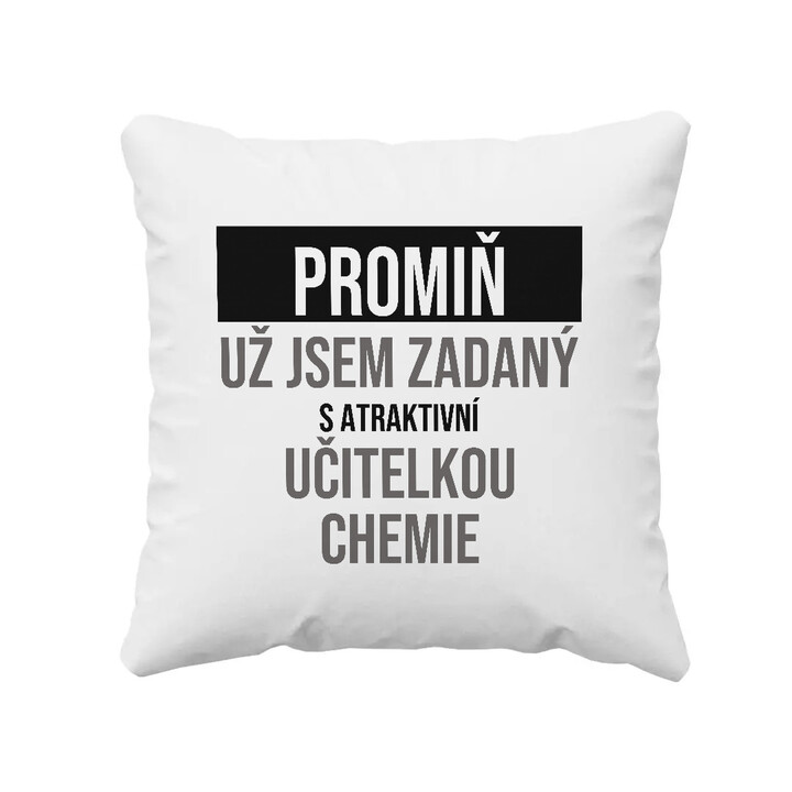 Promiň, už jsem zadaný s atraktivní učitelkou chemie - polštář s potiskem