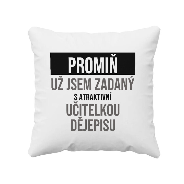 Promiň, už jsem zadaný s atraktivní učitelkou dějepisu - polštář s potiskem