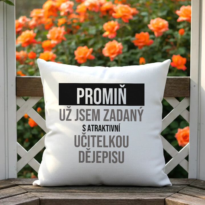 Promiň, už jsem zadaný s atraktivní učitelkou dějepisu - polštář s potiskem