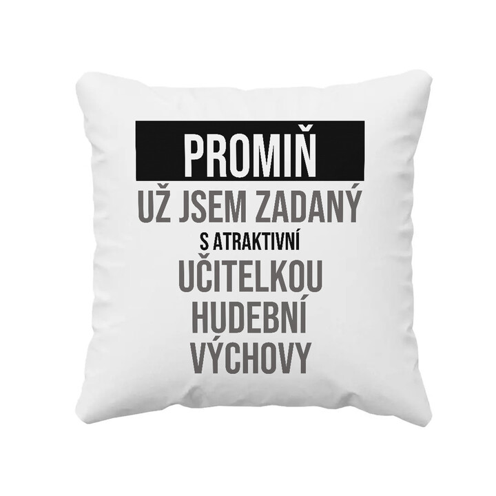 Promiň, už jsem zadaný s atraktivní učitelkou hudební výchovy - polštář s potiskem