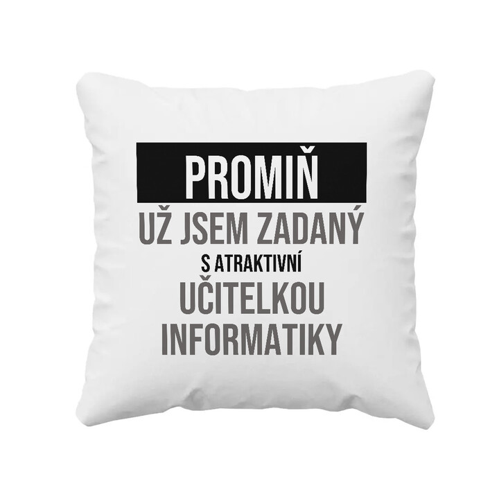 Promiň, už jsem zadaný s atraktivní učitelkou informatiky - polštář s potiskem