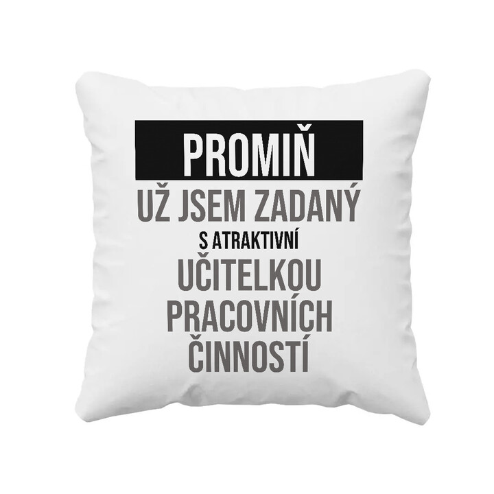 Promiň, už jsem zadaný s atraktivní učitelkou pracovních činností - polštář s potiskem