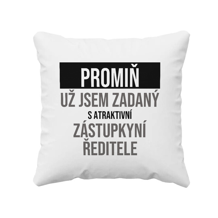 Promiň, už jsem zadaný s atraktivní zástupkyní ředitele - polštář s potiskem