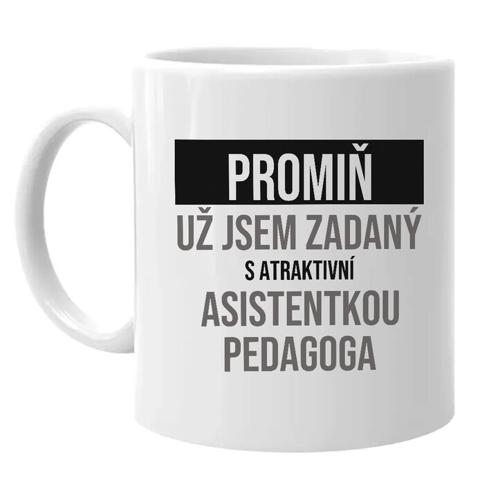 Promiň, už jsem zadaný s atraktivní asistentkou pedagoga - hrnek s potiskem