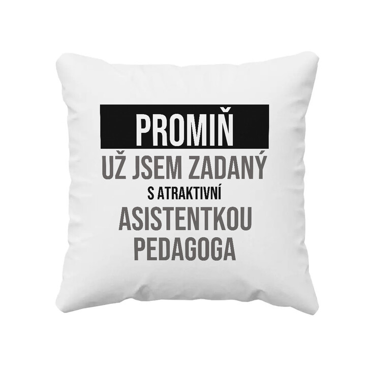 Promiň, už jsem zadaný s atraktivní asistentkou pedagoga - polštář s potiskem