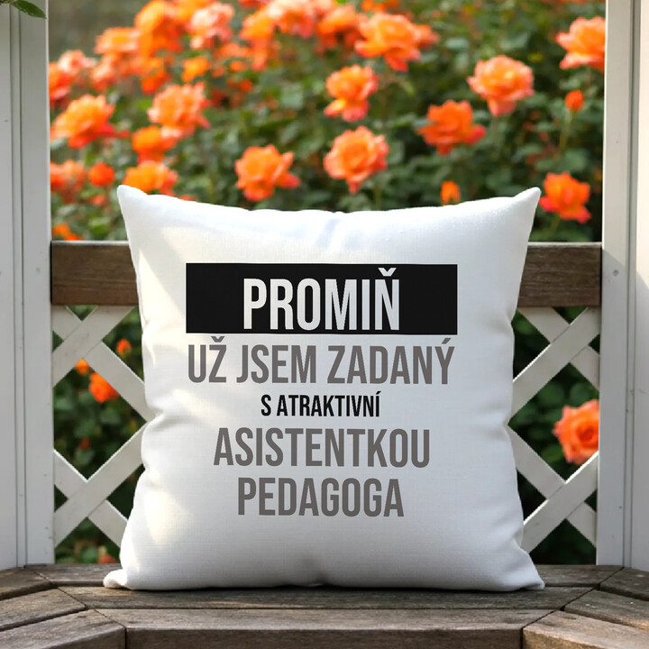 Promiň, už jsem zadaný s atraktivní asistentkou pedagoga - polštář s potiskem