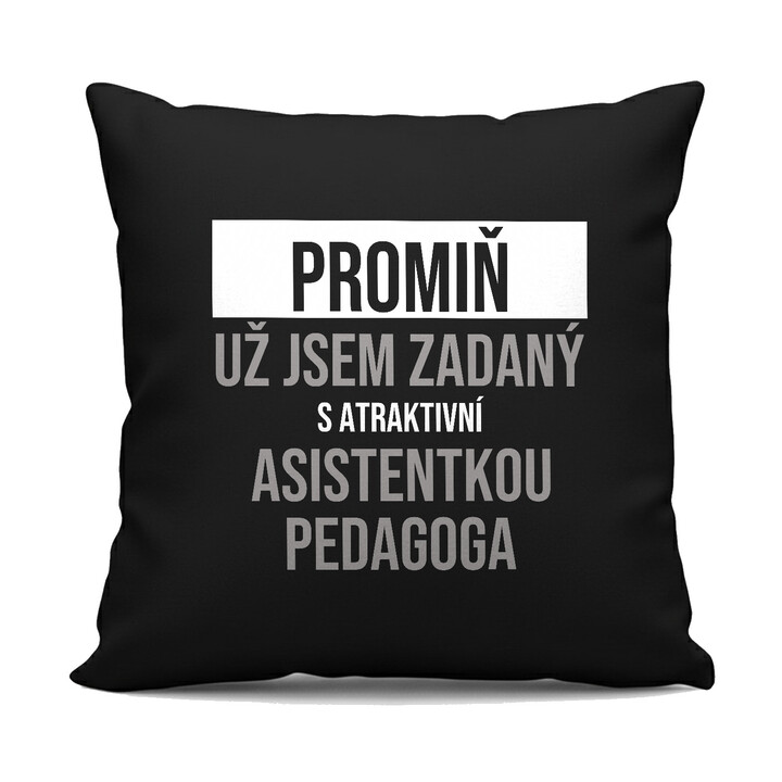 Promiň, už jsem zadaný s atraktivní asistentkou pedagoga - černý polštář s potiskem
