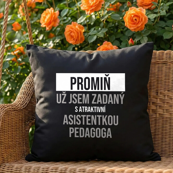 Promiň, už jsem zadaný s atraktivní asistentkou pedagoga - černý polštář s potiskem