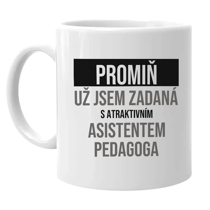Promiň, už jsem zadaná s atraktivním asistentem pedagoga - hrnek s potiskem